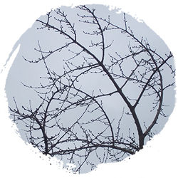 The Importance of Cloud Gazing