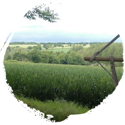 My Overnight Failure